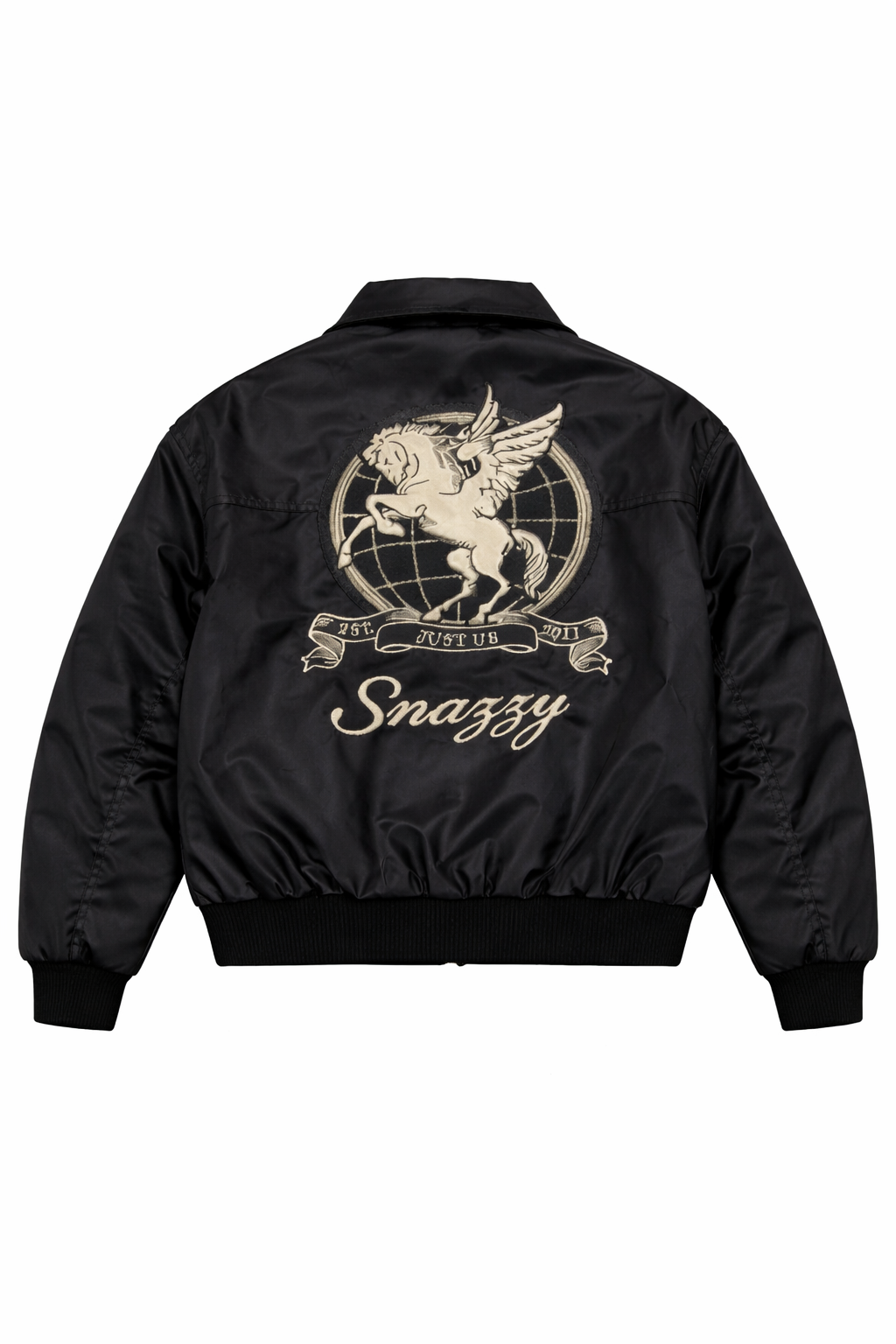 Snazzy leather jacket