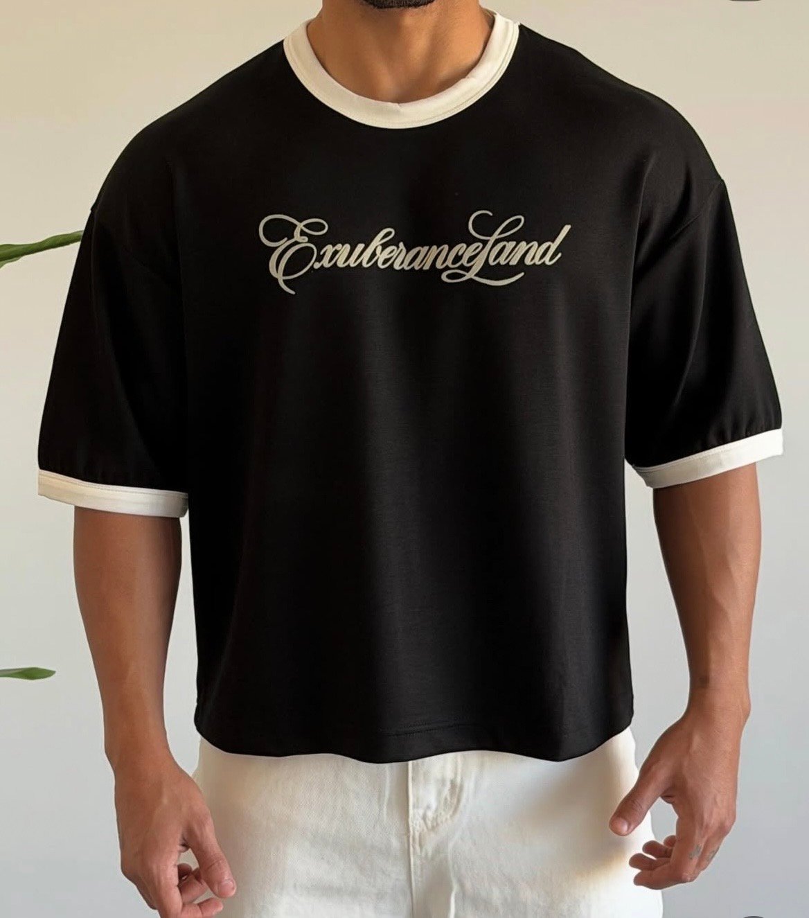 Exurbance Boxy cropped T-shirt